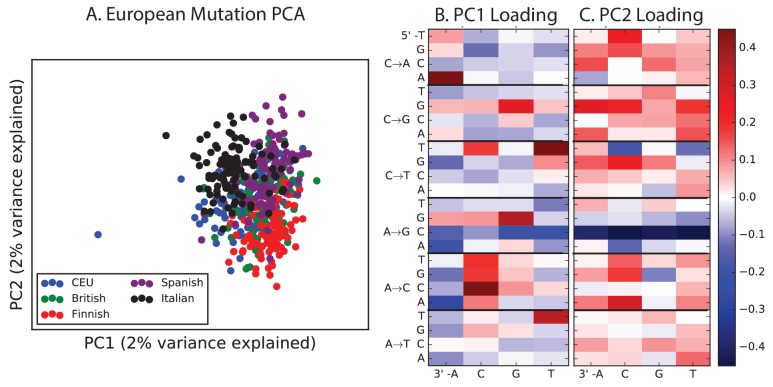 Figure 4—figure supplement 6.