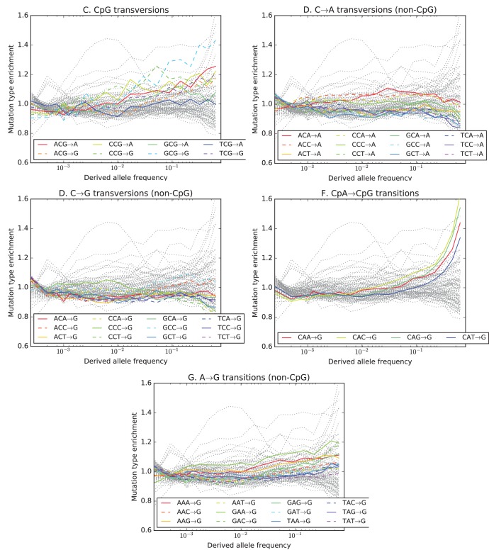 Figure 3—figure supplement 4.