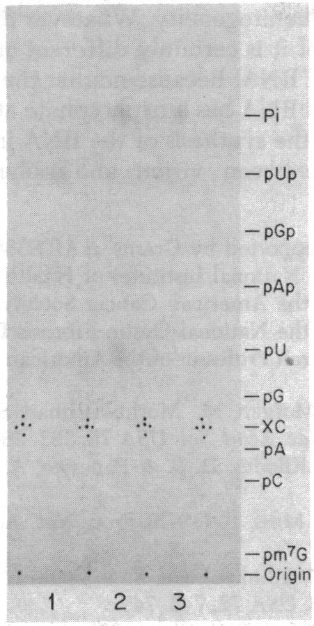 graphic file with name pnas00671-0067-a.jpg