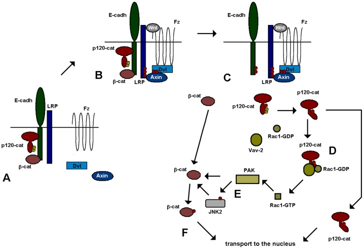 Fig. 8.