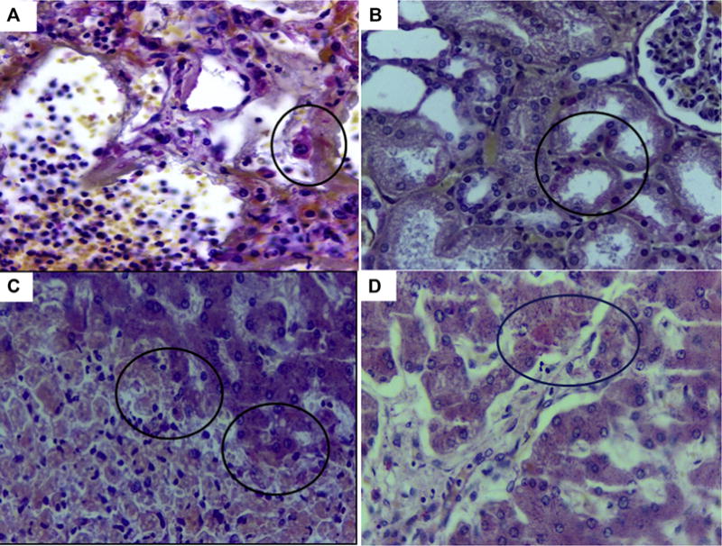 Fig. 4