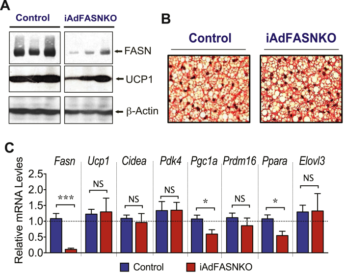 Figure 6