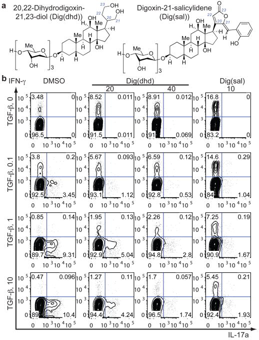 Figure 3)