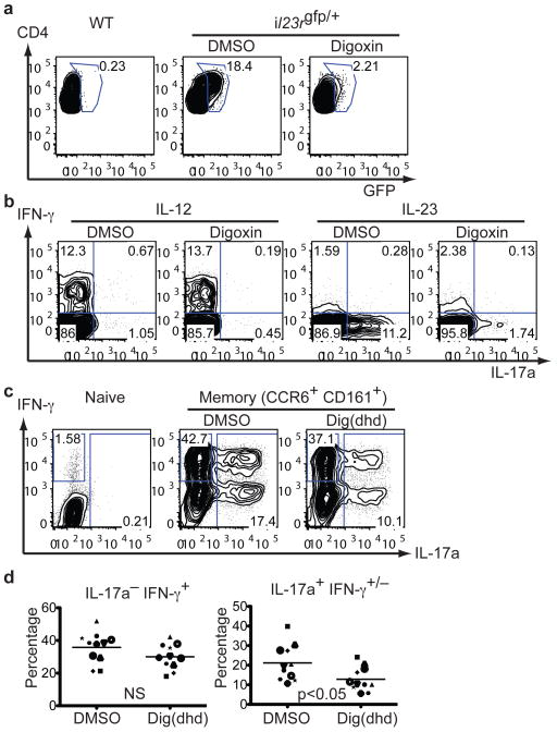 Figure 4)