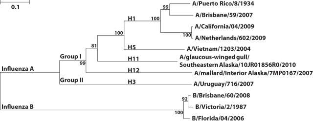 FIG 4