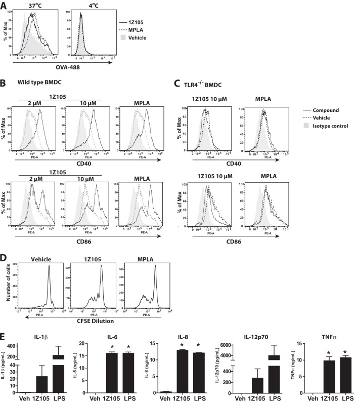 FIG 2