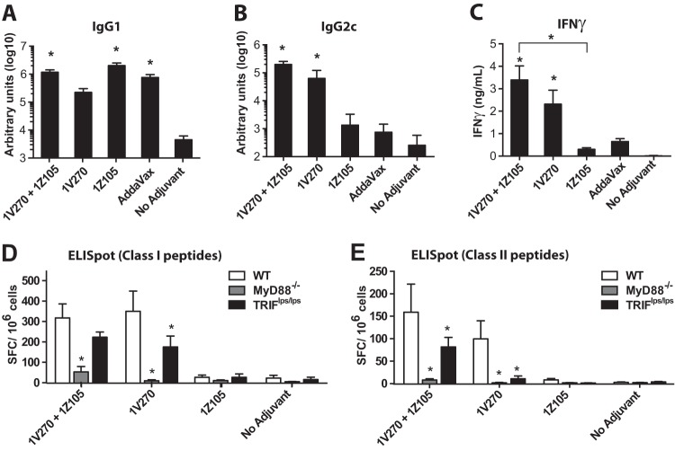 FIG 3