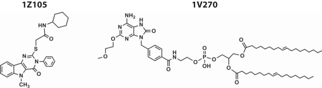 FIG 1