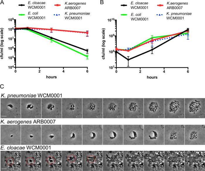 FIG 6