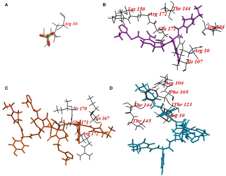 Figure 6