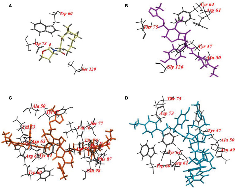 Figure 7