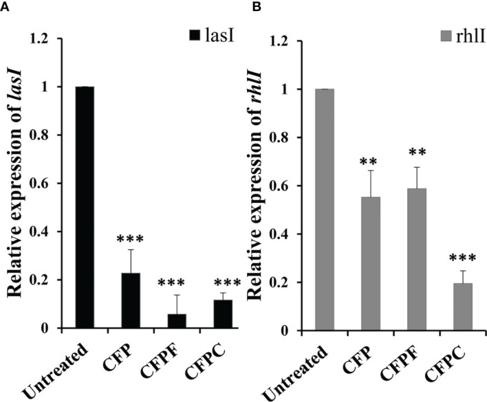 Figure 5