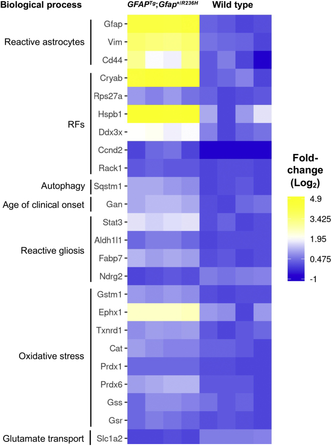 Fig. 2