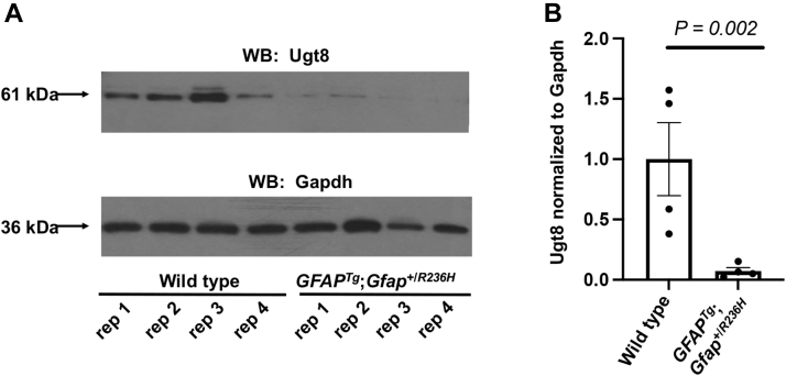 Fig. 4