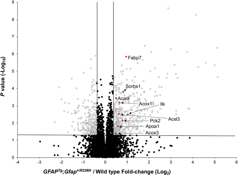 Fig. 3