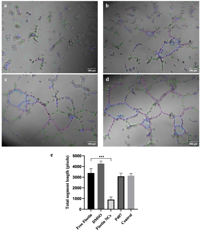 Fig. 13