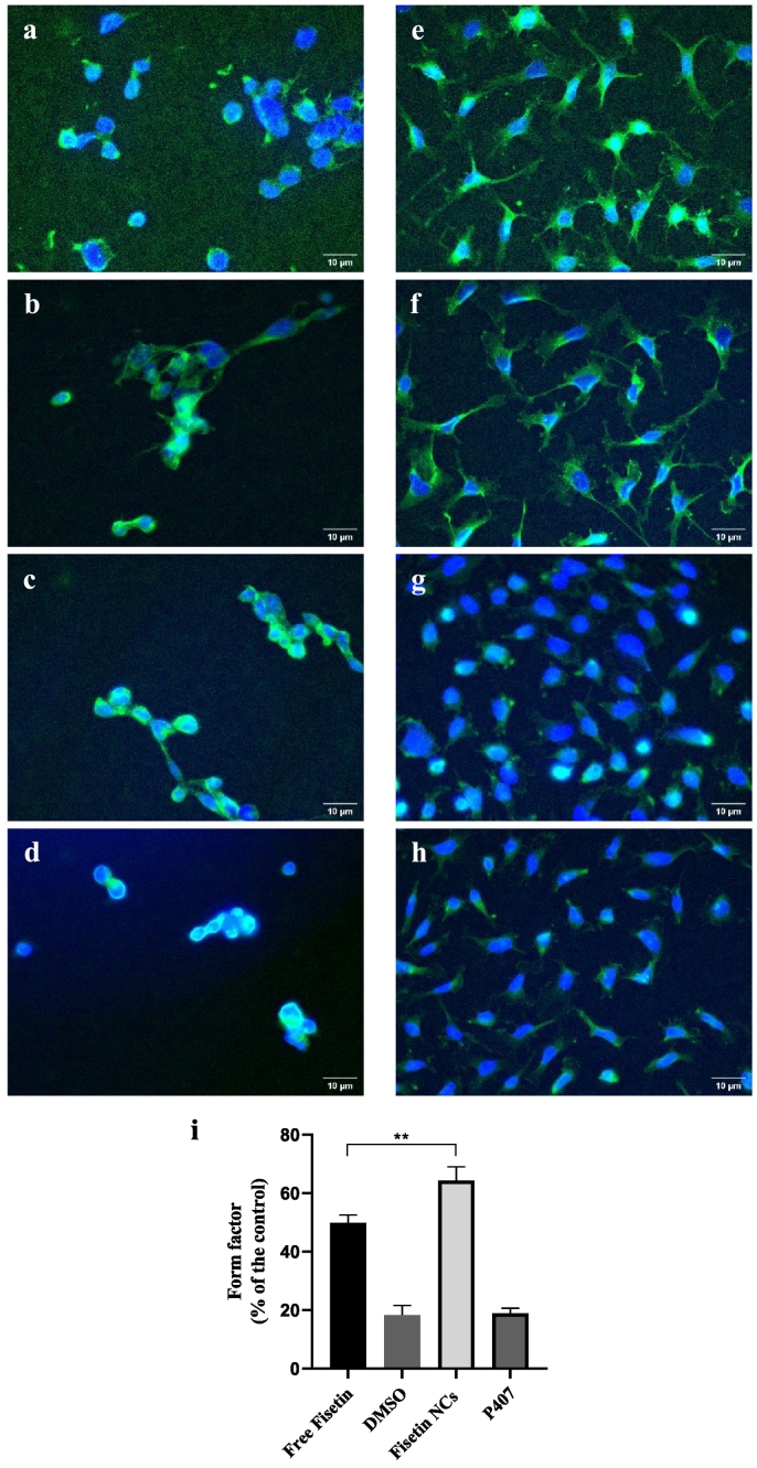 Fig. 11