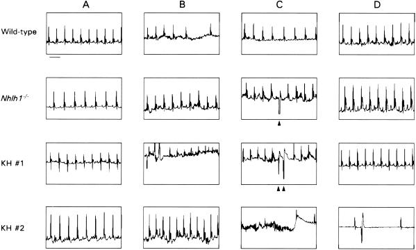 FIG. 3.