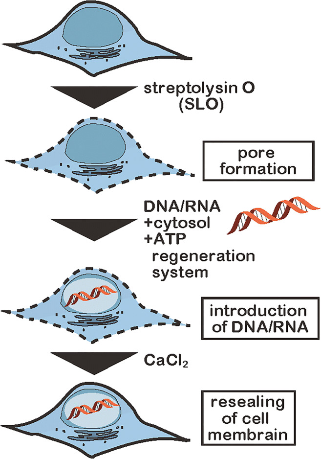 Fig. 1