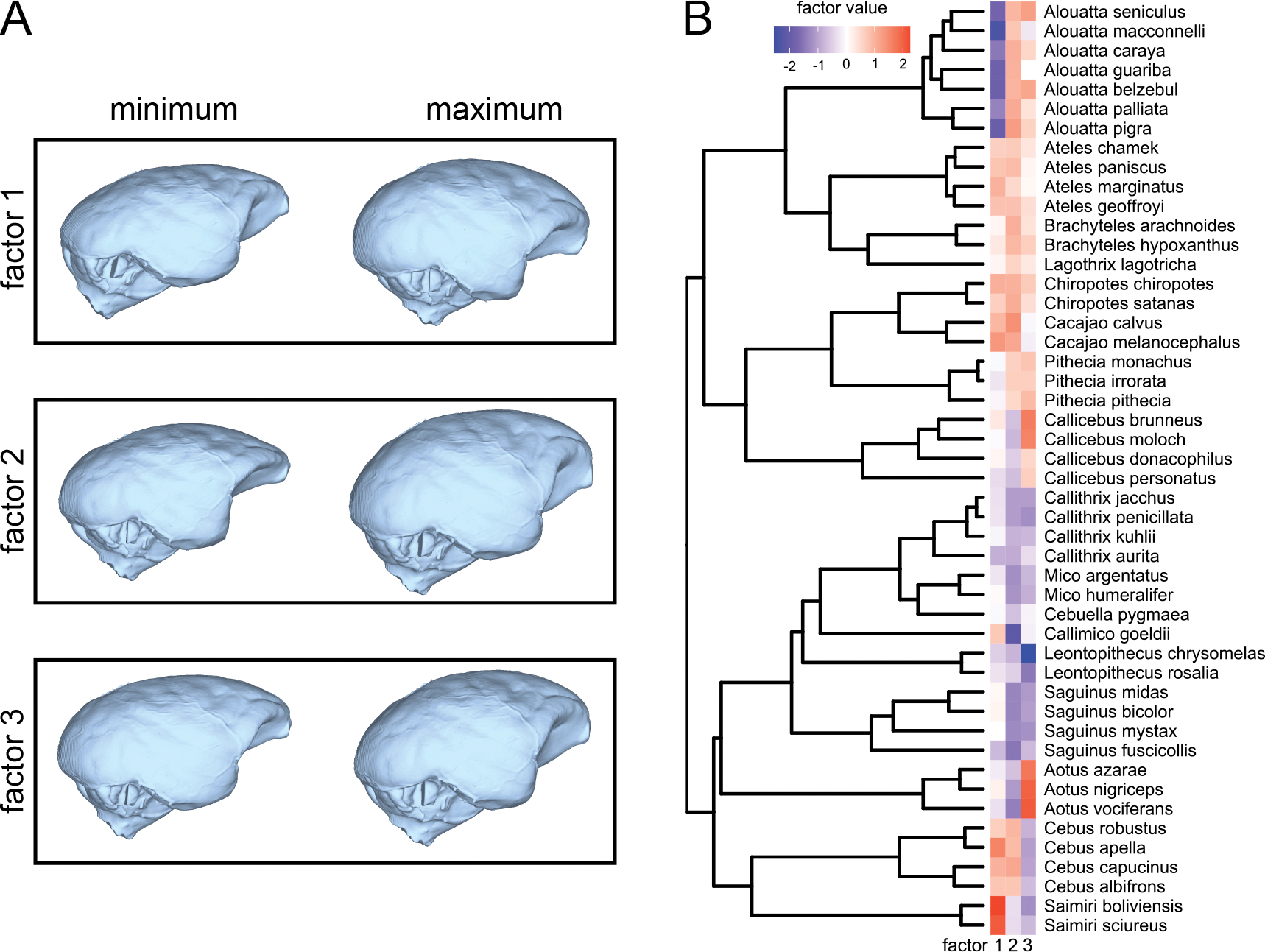 Figure 6: