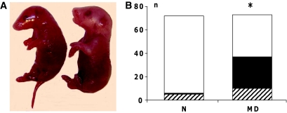 FIG. 1.