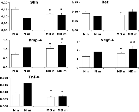 FIG. 4.