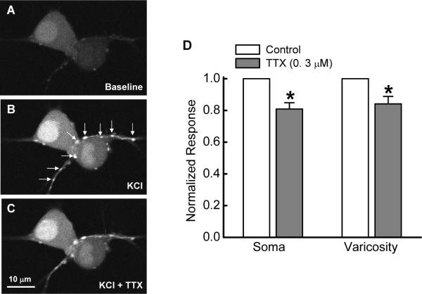 Figure 7