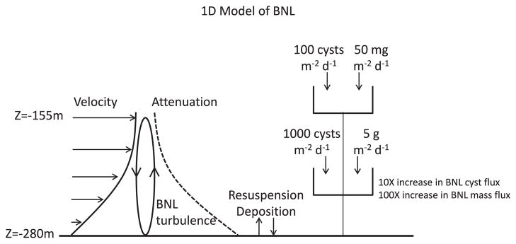 Fig. 11