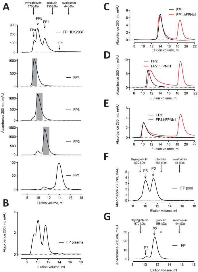 Figure 1—figure supplement 1.