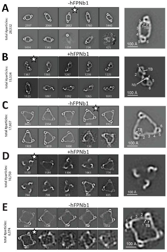 Figure 2.