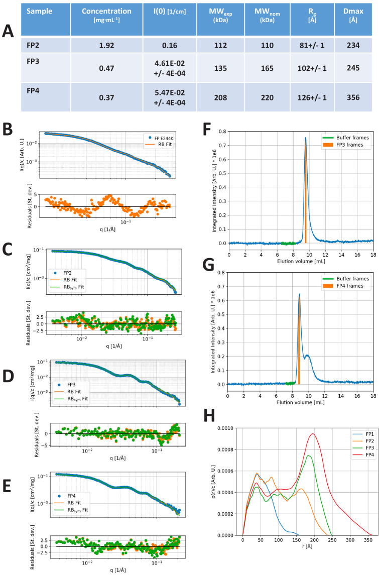 Figure 3—figure supplement 1.