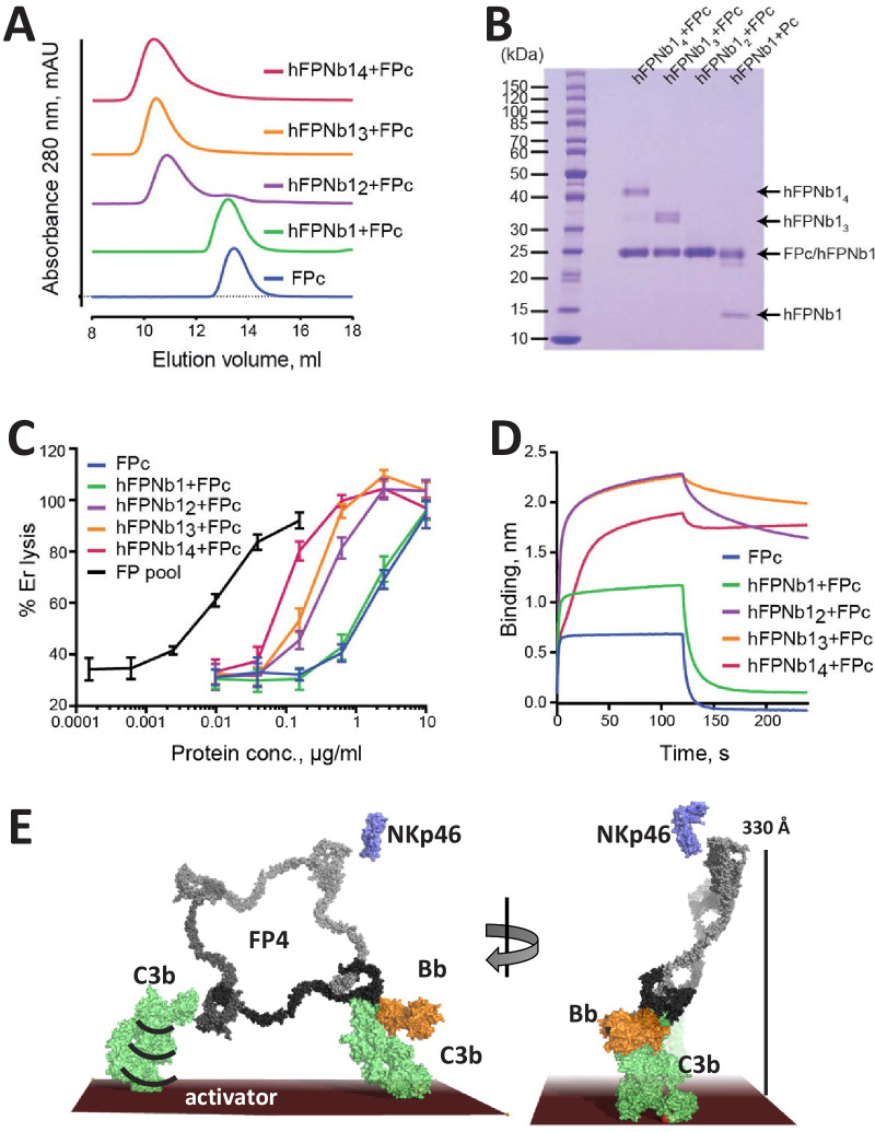 Figure 5.