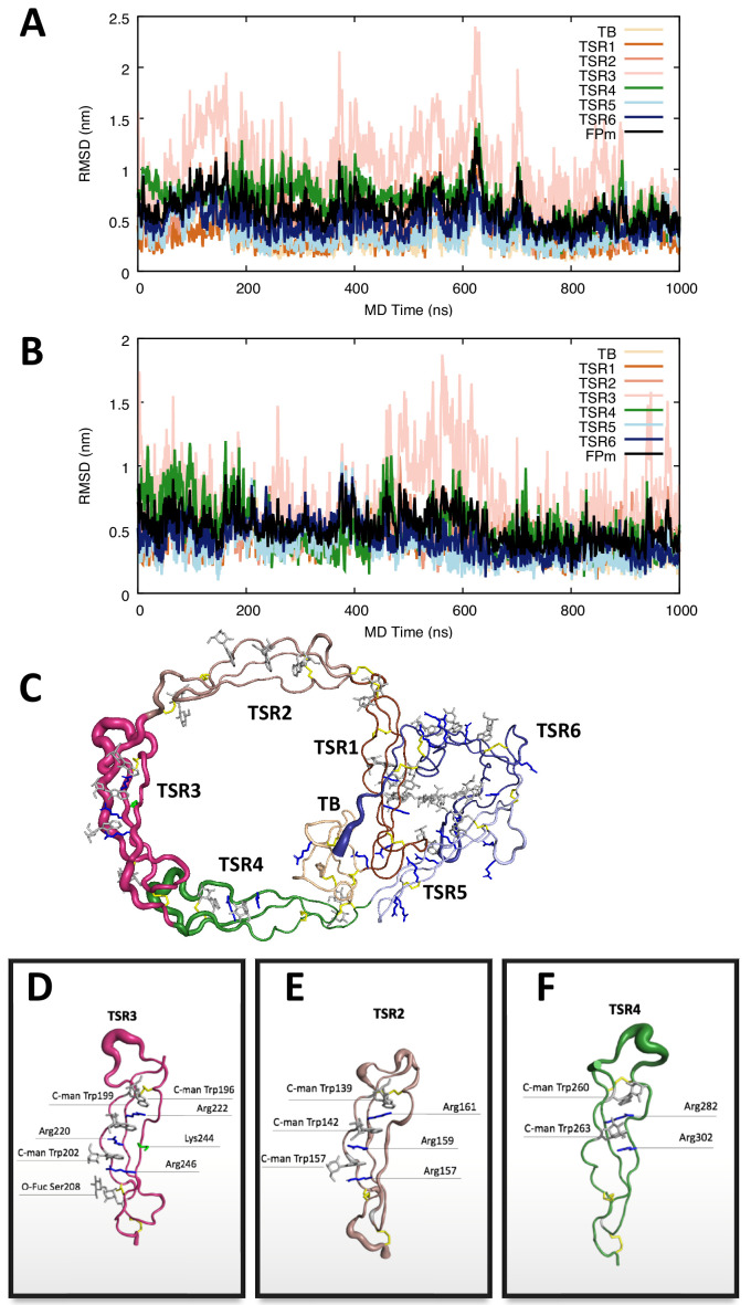 Figure 1—figure supplement 2.