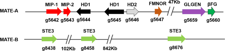 Fig. 5