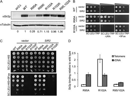 Figure 2.—