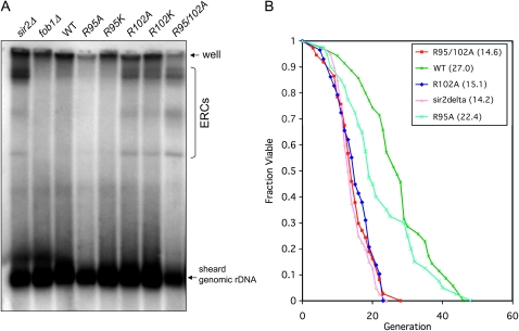 Figure 6.—