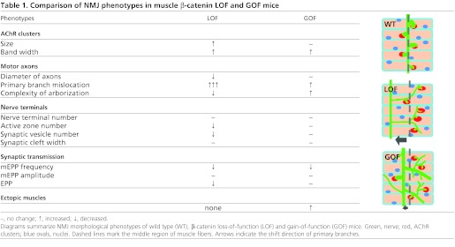 graphic file with name DEV080705TG1.jpg