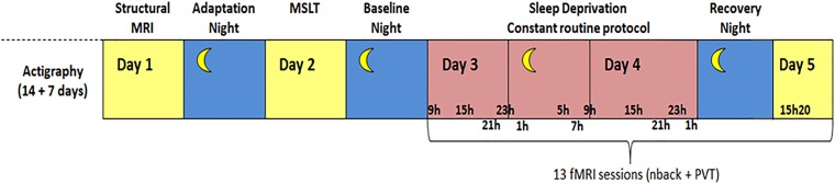 Fig. S1.