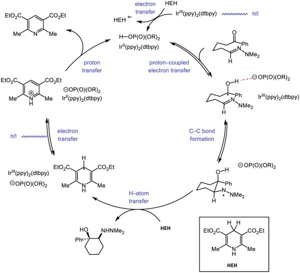 Figure 51