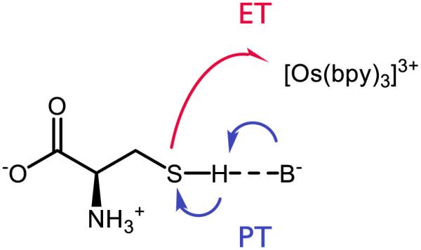 Figure 25