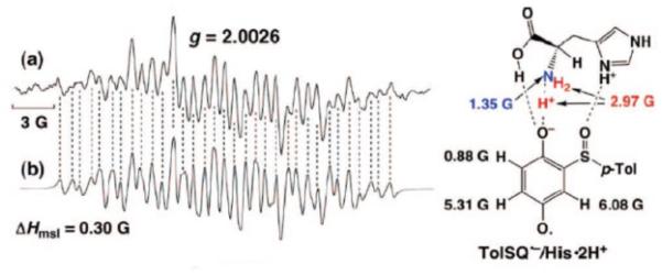 Figure 37