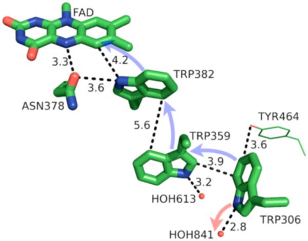 Figure 24