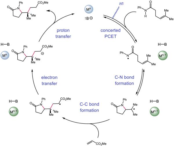 Figure 28