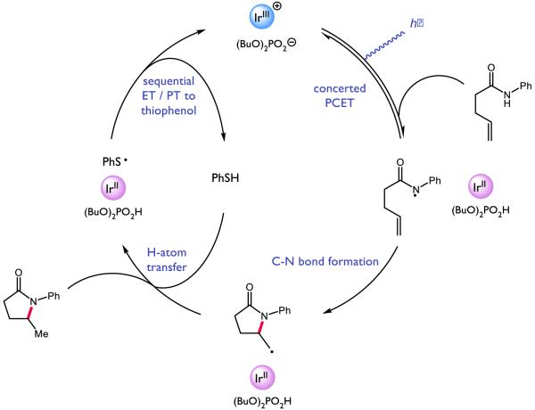 Figure 30