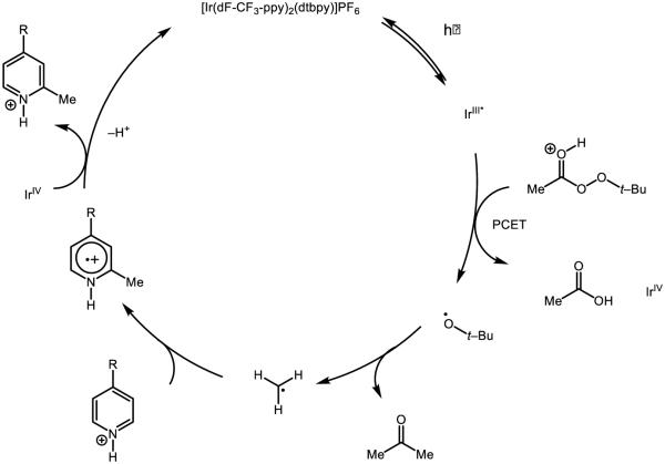 Figure 56