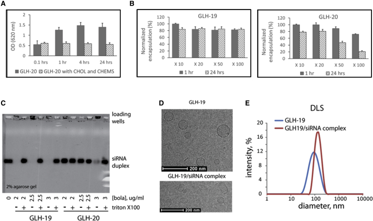 Figure 2