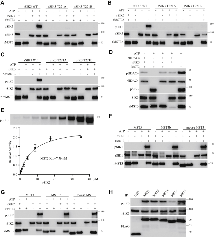 Figure 4