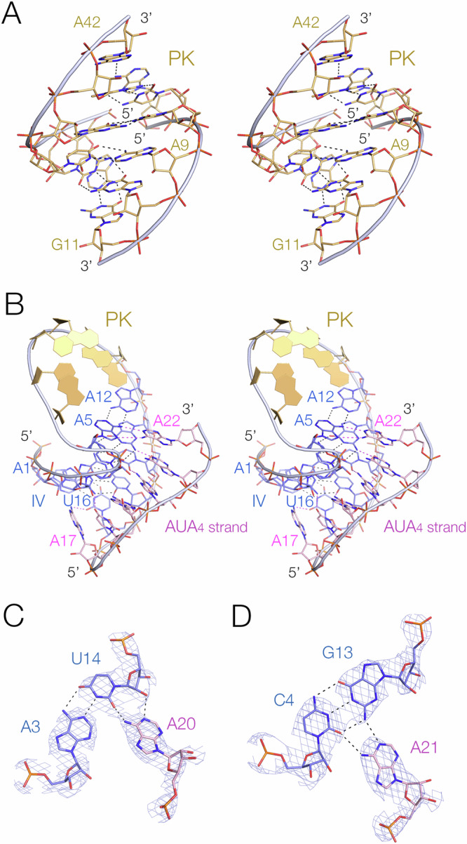 Fig. 3