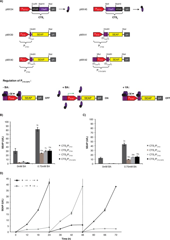 Figure 2.