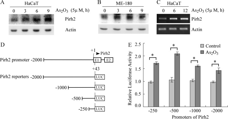 FIGURE 4.